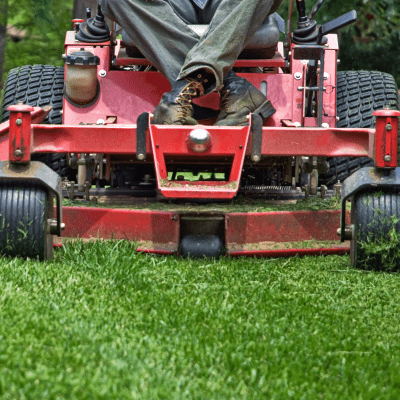 LAWN CARE SERVICES